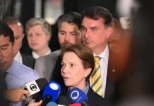 Tereza Cristina admite pela primeira vez possibilidade de ser vice de Flávio Bolsonaro