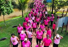 Segunda caminhada do grupo Mulheres no Foco reúne mais de 200 participantes em Mutuípe